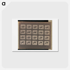 アートポストカード-Leaping
 - エドワード マイブリッジ Postcard.