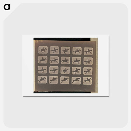 アートポストカード-Leaping
 - エドワード マイブリッジ Postcard.