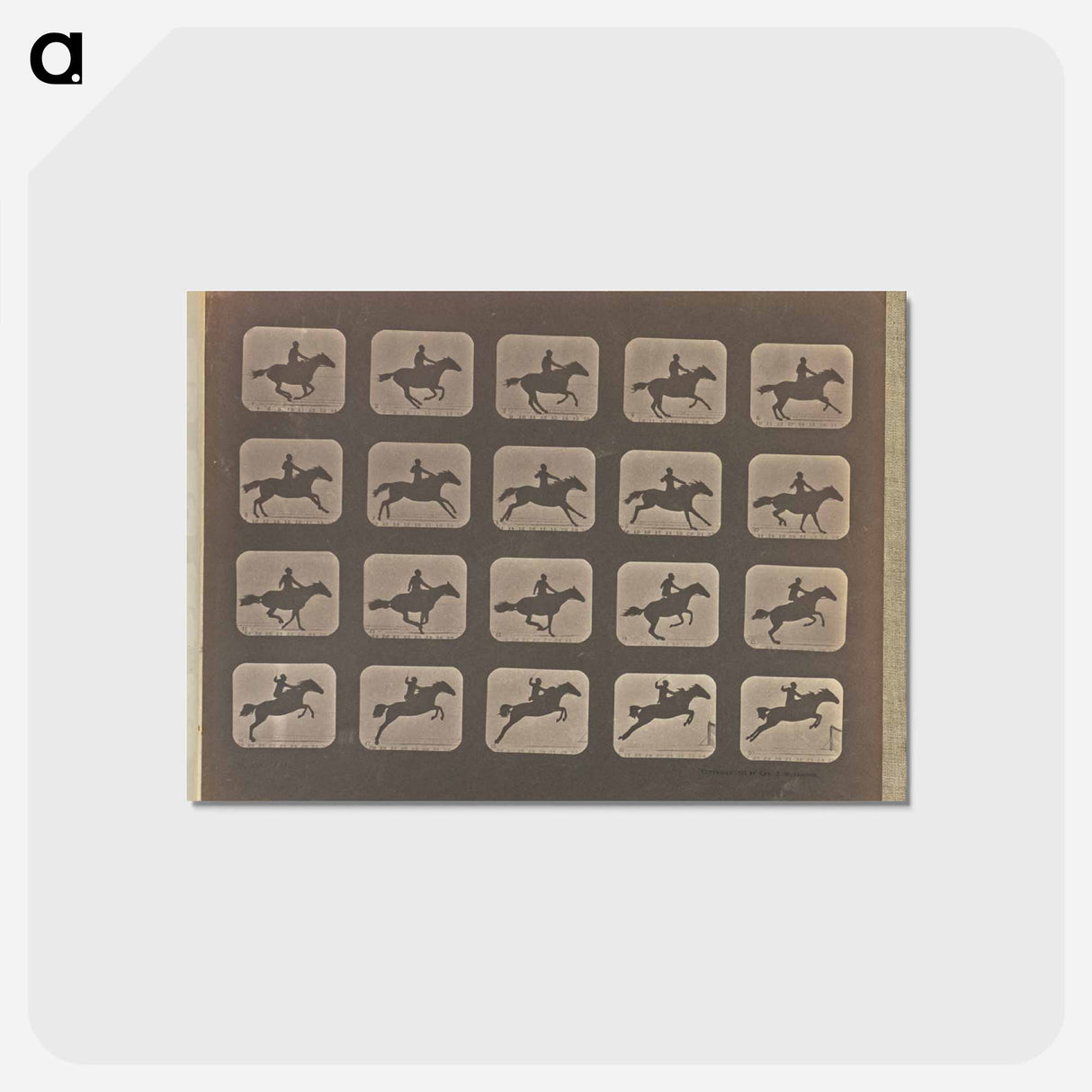 アートポストカード-Leaping
 - エドワード マイブリッジ Postcard.