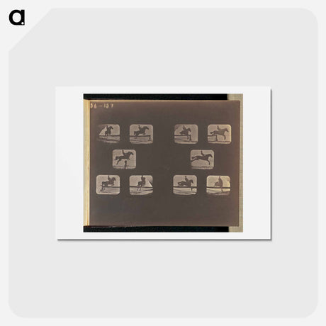 アートポストカード-Leaping
 - エドワード マイブリッジ Postcard.