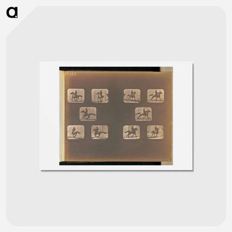 アートポストカード-Running
 - エドワード マイブリッジ Postcard.