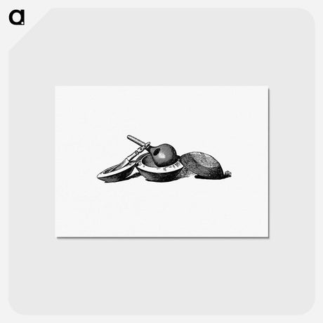 アートポストカード-Portuguese Expedition Kitchenware, Lunda
 - 大英図書館 Postcard.