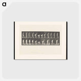 アートポストカード-The Sweeper
 - エドワード マイブリッジ Postcard.