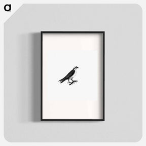 アートポスター-Water Eagle
 - 大英図書館 Poster.