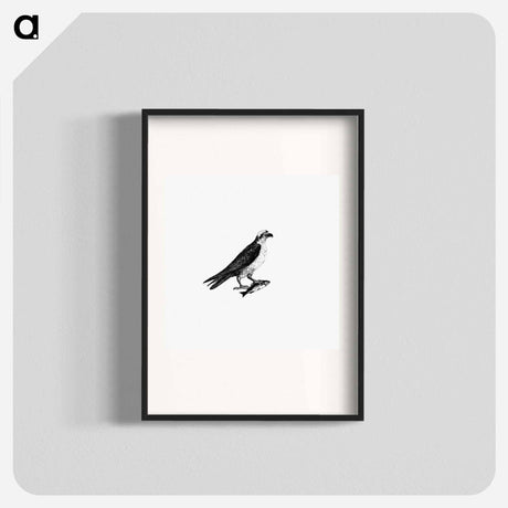 アートポスター-Water Eagle
 - 大英図書館 Poster.