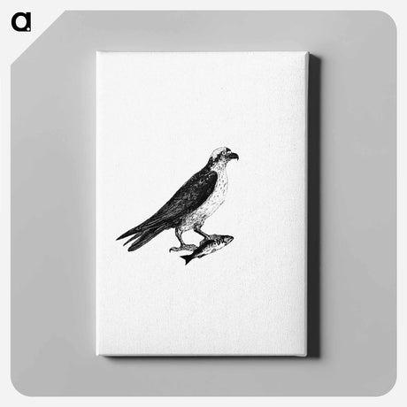 アートパネル-Water Eagle
 - 大英図書館 Canvas.