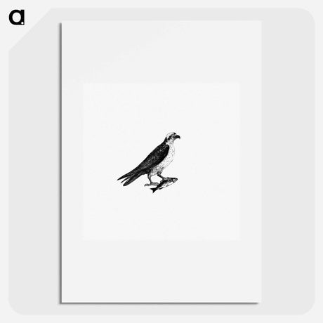 アートポスター-Water Eagle
 - 大英図書館 Poster.