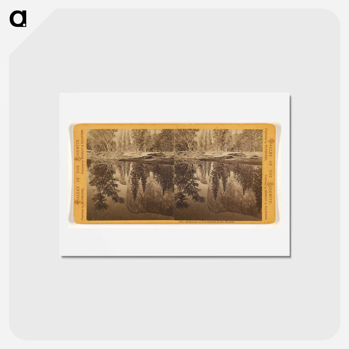 アートポストカード-Reflection of Tutokanula in the Merced
 - エドワード マイブリッジ Postcard.