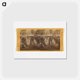 アートポストカード-Reflection of Tutokanula in the Merced
 - エドワード マイブリッジ Postcard.