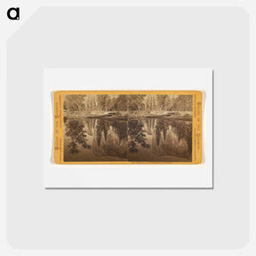 アートポストカード-Reflection of Tutokanula in the Merced
 - エドワード マイブリッジ Postcard.
