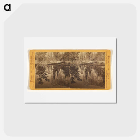 アートポストカード-Reflection of Tutokanula in the Merced
 - エドワード マイブリッジ Postcard.