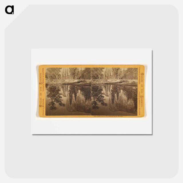 アートポストカード-Reflection of Tutokanula in the Merced
 - エドワード マイブリッジ Postcard.