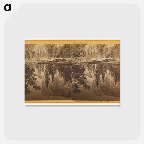 アートポストカード-Reflection of Tutokanula in the Merced
 - エドワード マイブリッジ Postcard.