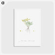 アートポストカード-Sedum Sexangulare (Tasteless Stonecrop) - ピエール ジョゼフ ルドゥーテ Postcard.
