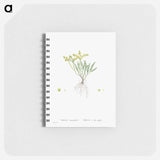 Sedum Sexangulare (Tasteless Stonecrop) - ピエール ジョゼフ ルドゥーテ Memo.