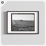 Landscape showing home of FSA borrower - Dorothea Lange Poster.