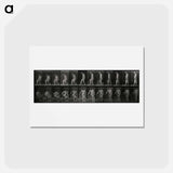 アートポストカード-Rising Man
 - エドワード マイブリッジ Postcard.