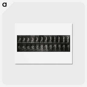 アートポストカード-Rising Man
 - エドワード マイブリッジ Postcard.