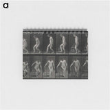 アートメモ帳-Rising Man
 - エドワード マイブリッジ Memo.
