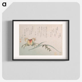 アートポスター-Crab and Rice Plant - 葛飾 北斎 Poster.