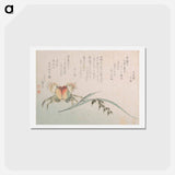 アートポストカード-Crab and Rice Plant - 葛飾 北斎 Postcard.