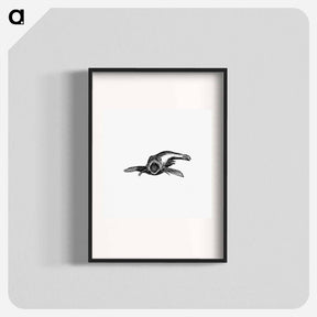 アートポスター-Aquatic Creature, from Real Sailor-Songs
 - 大英図書館 Poster.
