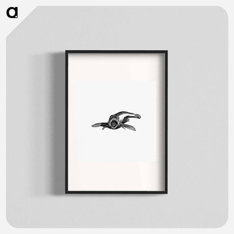 アートポスター-Aquatic Creature, from Real Sailor-Songs
 - 大英図書館 Poster.