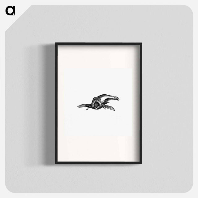 アートポスター-Aquatic Creature, from Real Sailor-Songs
 - 大英図書館 Poster.