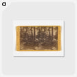 アートポストカード-Mirror Lake
 - エドワード マイブリッジ Postcard.