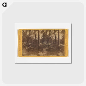 アートポストカード-Mirror Lake
 - エドワード マイブリッジ Postcard.