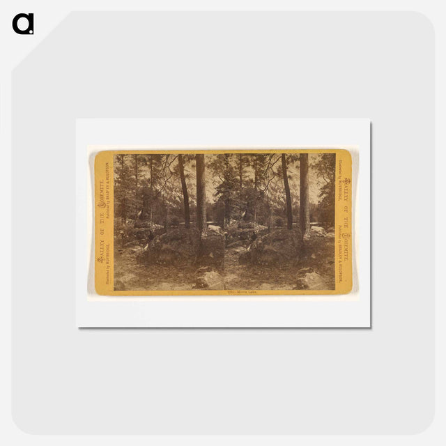 アートポストカード-Mirror Lake
 - エドワード マイブリッジ Postcard.