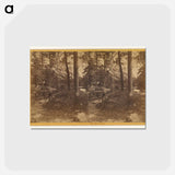 アートポストカード-Mirror Lake
 - エドワード マイブリッジ Postcard.