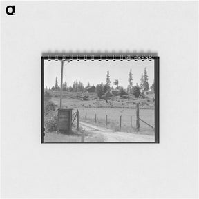 アートメモ帳-Western Washington stump farm - ドロテア ラング Memo.