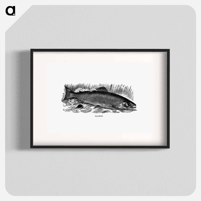 アートポスター-Salmon from Nimrod In The North
 - 大英図書館 Poster.