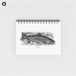 アートメモ帳-Salmon from Nimrod In The North
 - 大英図書館 Memo.