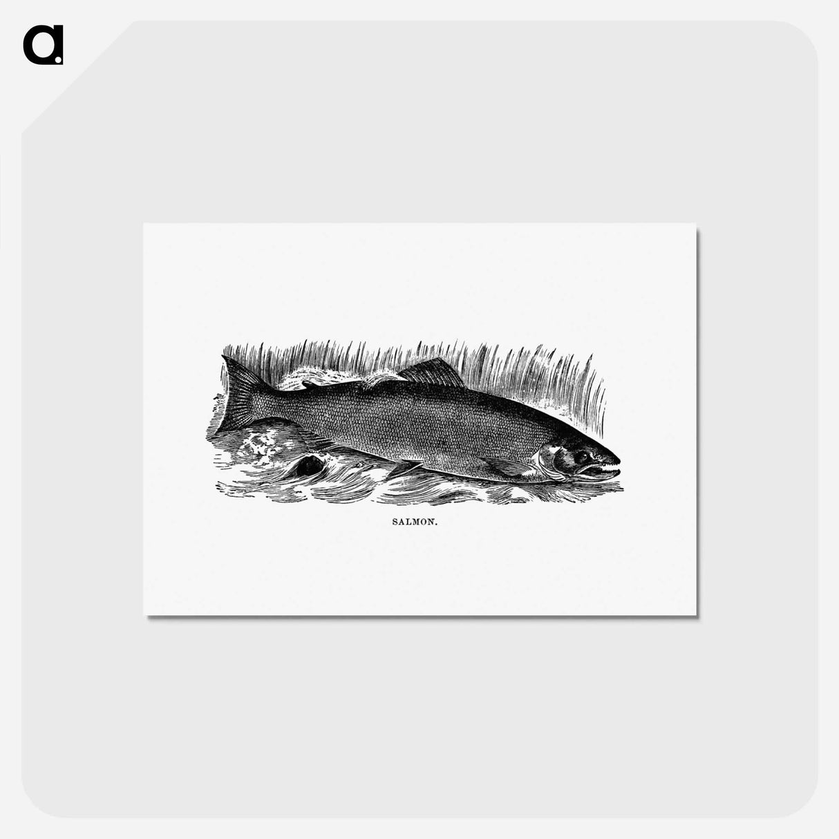 アートポストカード-Salmon from Nimrod In The North
 - 大英図書館 Postcard.