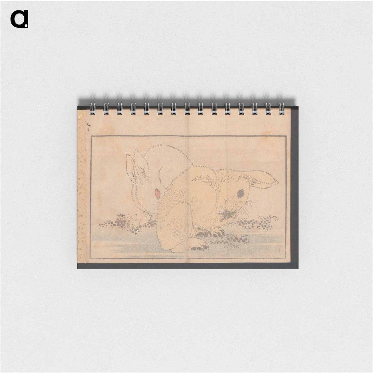 Katsushika Hokusai's rabbit - 葛飾 北斎 Memo.