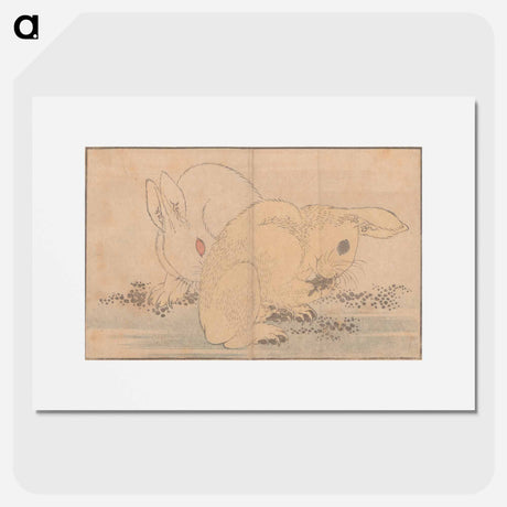 アートポスター-Katsushika Hokusai's rabbit - 葛飾 北斎 Poster.
