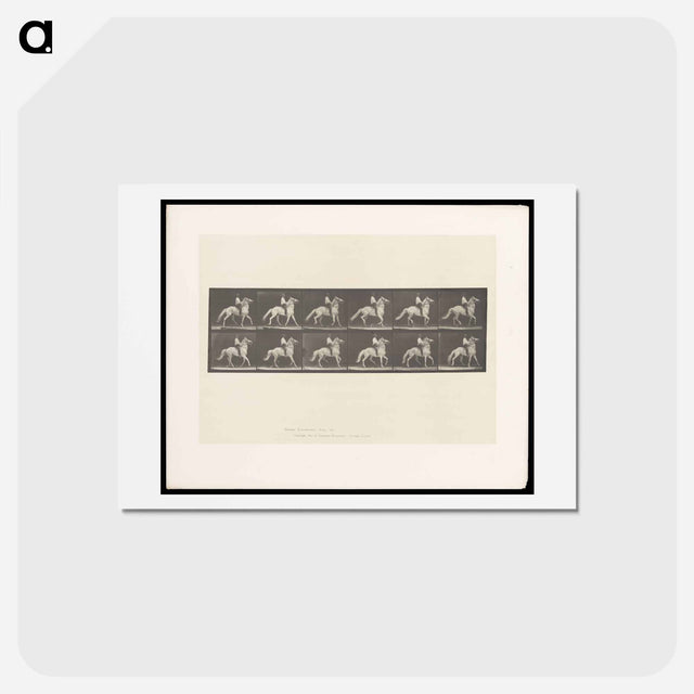 アートポストカード-Bareback Rider
 - エドワード マイブリッジ Postcard.