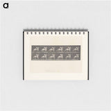 アートメモ帳-Bareback Rider
 - エドワード マイブリッジ Memo.