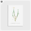 アートポストカード-Mesembryanthemum Splendens (Donkey Mesemb) - ピエール ジョゼフ ルドゥーテ Postcard.