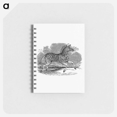 アートメモ帳-Zebra from The Land of the Lion; or, Adventures Among the Wild Animals of Africa
 - 大英図書館 Memo.
