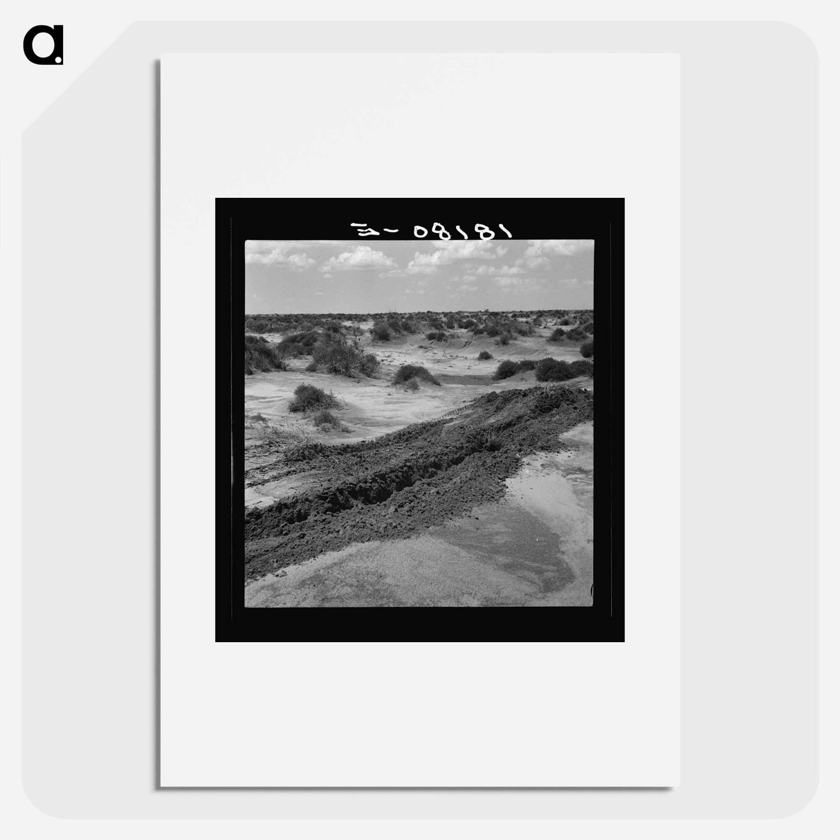 Leveling hummocks in the dust bowl. Coldwater District, thirty miles north of Dalhart, Texas - Dorothea Lange Poster.