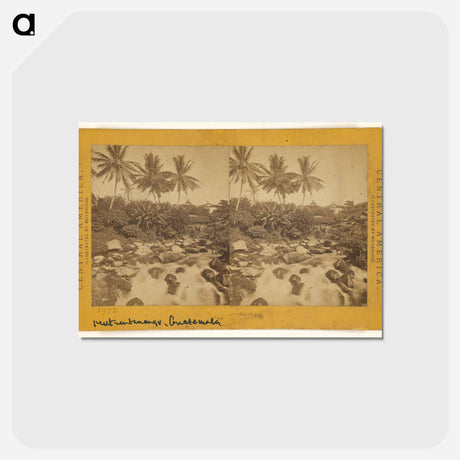 アートポストカード-Mazatenango
 - エドワード マイブリッジ Postcard.
