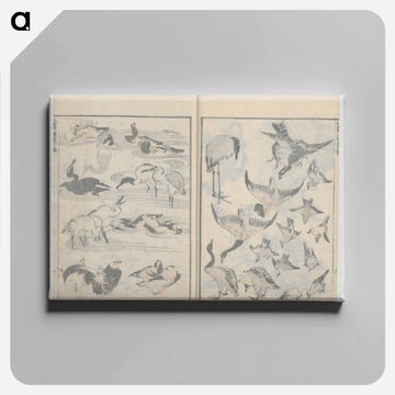 Random sketches by Hokusai volumes 1 to 11 - 葛飾 北斎 Canvas.