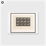 アートポストカード-Horse with Bucket
 - エドワード マイブリッジ Postcard.
