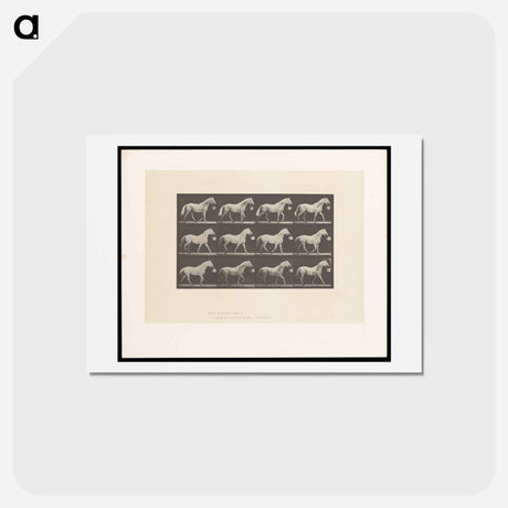 アートポストカード-Horse with Bucket
 - エドワード マイブリッジ Postcard.