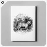 アートパネル-Cat
 - 大英図書館 Canvas.