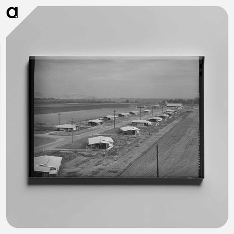 アートパネル-Bulldozer at Shasta Dam
 - ラッセル リー Canvas.
