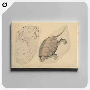 アートパネル-Two Sketches: One of a Turtle, the Other of Two Unidentified Objects - 葛飾 北斎 Canvas.
